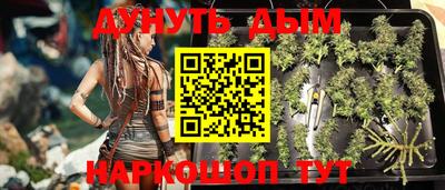 прущие крисы Будённовск