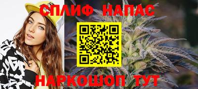 прущие крисы Будённовск